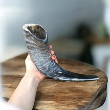 Verkauf XL klassisches Widderhorn koscher Schofar 16-18 Zoll halb natürlich k...