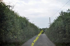 Photo A3 North Devon : Springhill Down Hill Mogworthy A small country la c2015