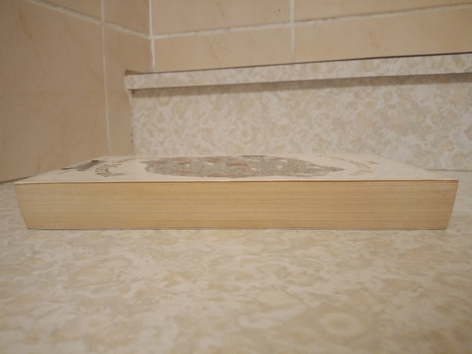 Picture 6 of 7