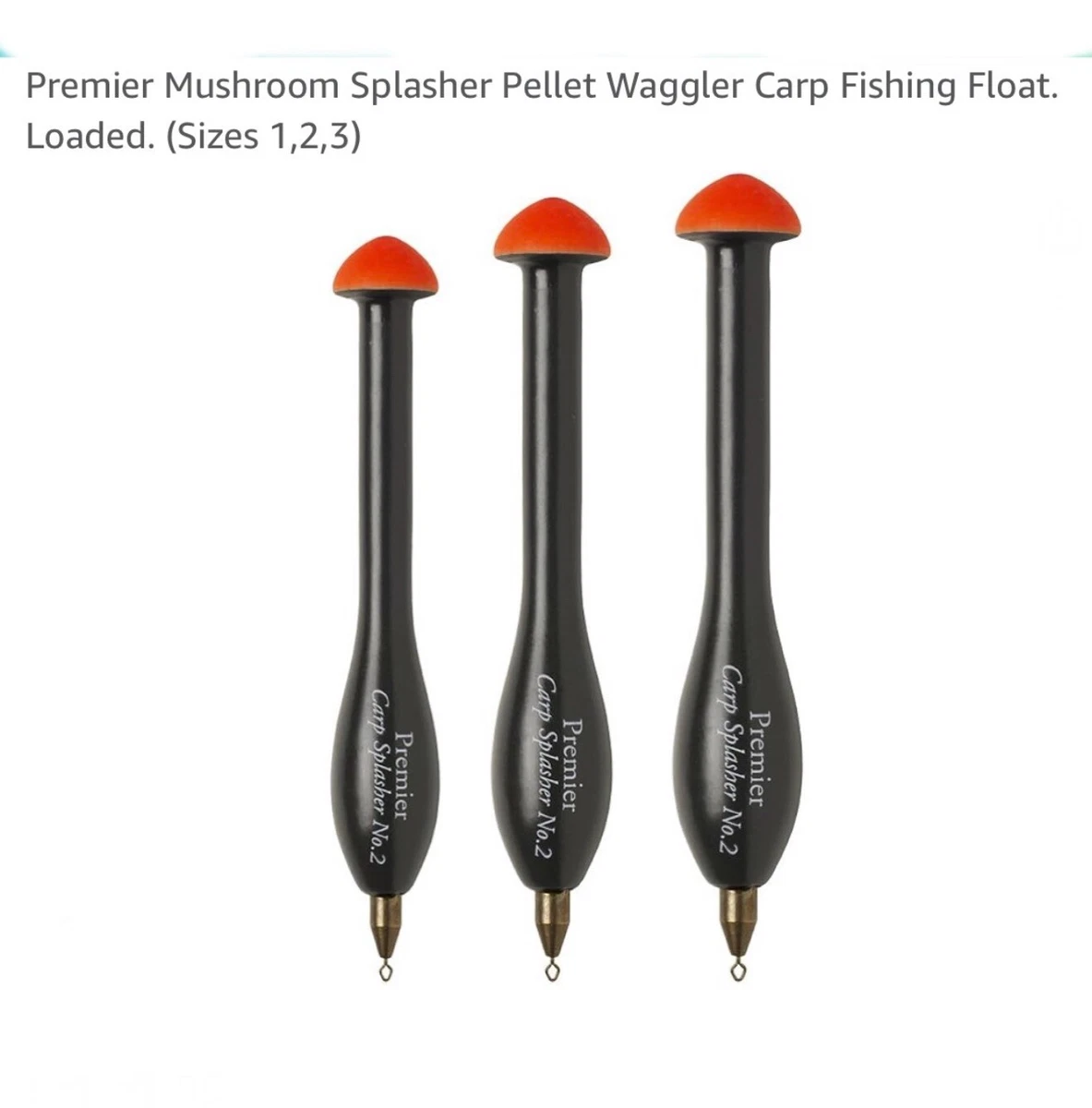 Capodanno In Piazza Del Popolo. Tutte Le Misure Per La Sicurezza - Foto 4