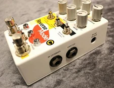 Chase Bliss Audio [USED] Reverse Mode C [Delay/Modulation] [Collaboration with