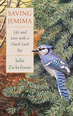 Saving Jemima: Life and Love with a Hard-Luck Jay by Julie Zickefoose (English) 
