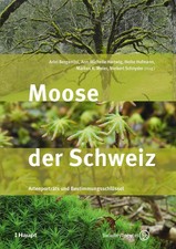 Ariel Bergamini Moose der Schweiz