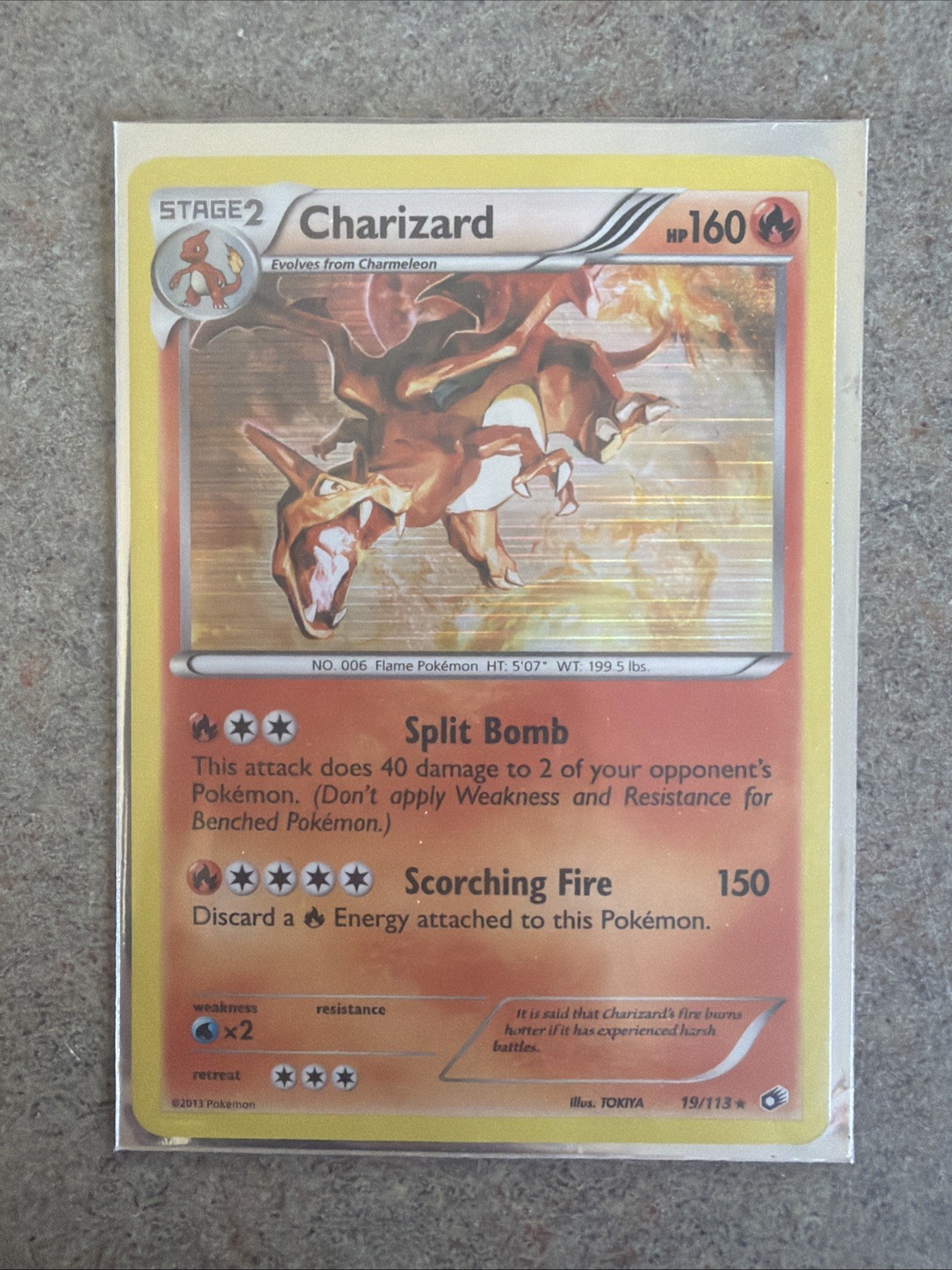 Charizard, 19/113, Reverse Holo, 2013, Pokemon TCG