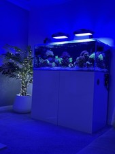Evaluation Aqua 1200 Aqarium Aquarium Fish Tank