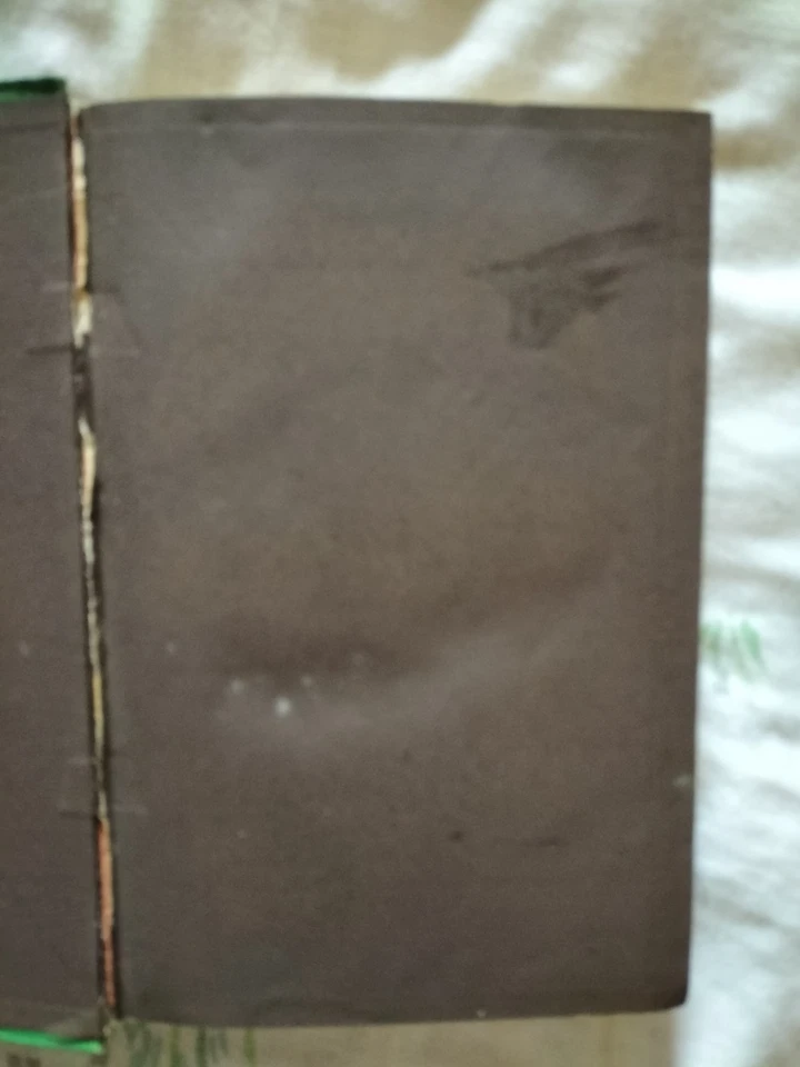 Hardy Herbaceous & Alpine Flowers Handbook William Sutherland 1871 Antique Book - Image 3 of 4