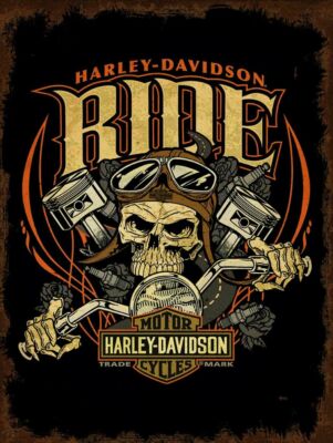 HARLEY DAVIDSON SKULL SKELETON RIDER HEAVY DUTY USA MADE METAL