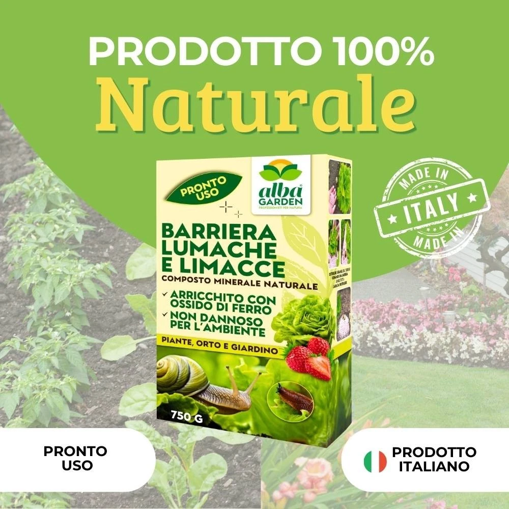 Foto 2 di 10