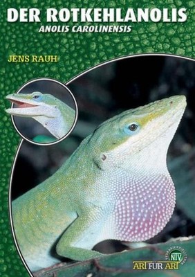 Der Rotkehlanolis Jens Rauh