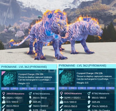 Ark Survival Ascended PVE TOP STAT DINODEEP BLUE PYROMANE PAIR XBOX/PC/PS5