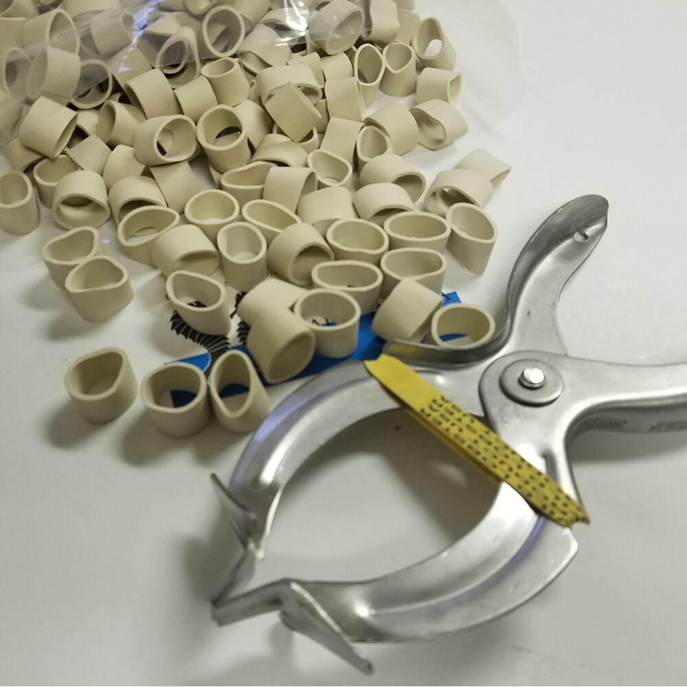 Standard / Shipper Lobster Claw Bands & Steel Claw Band Tool. 1LB Bag