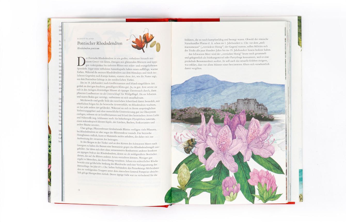 Thumbnail - In 80 Pflanzen Um Die Welt, Jonathan Drori
