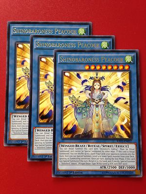 yugioh shinobird deck Complete Custom for Yu-Gi-Oh! Shinobird's Calling | Yu-Gi-Oh! Wiki