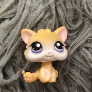 lps kittens ebay