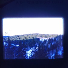 1960s NORWAY, Snapshot photo, Mountains and Forest