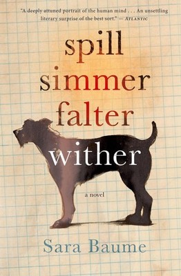 Spill Simmer Falter Wither: A Rooney Prize-Winning Irish Literary Novel   ...