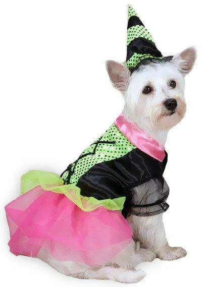 Witch Costumes for Dogs