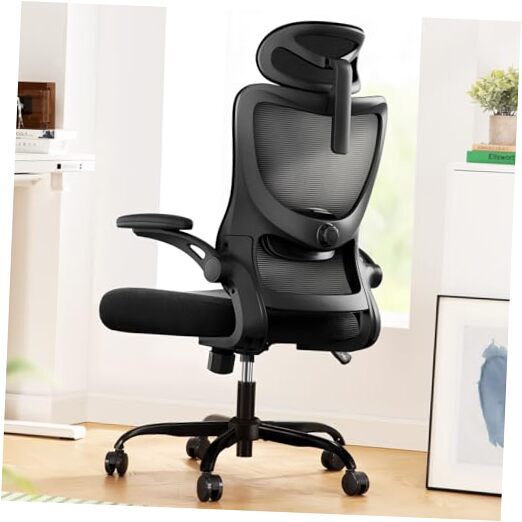 Ergonomic Office Chair: Office Computer Desk Chair with High Back Mesh Black