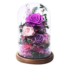 Flowers for Delivery Preserved Flowers Rose in Glass Dome,Purple Rose Forever...