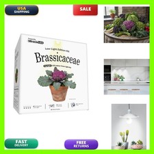 Miracle LED Elegant Low-Light Edition Brassicaceae 3-Socket Grow Kit 2-Pack