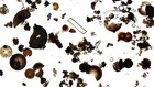Bild 10 von 13
