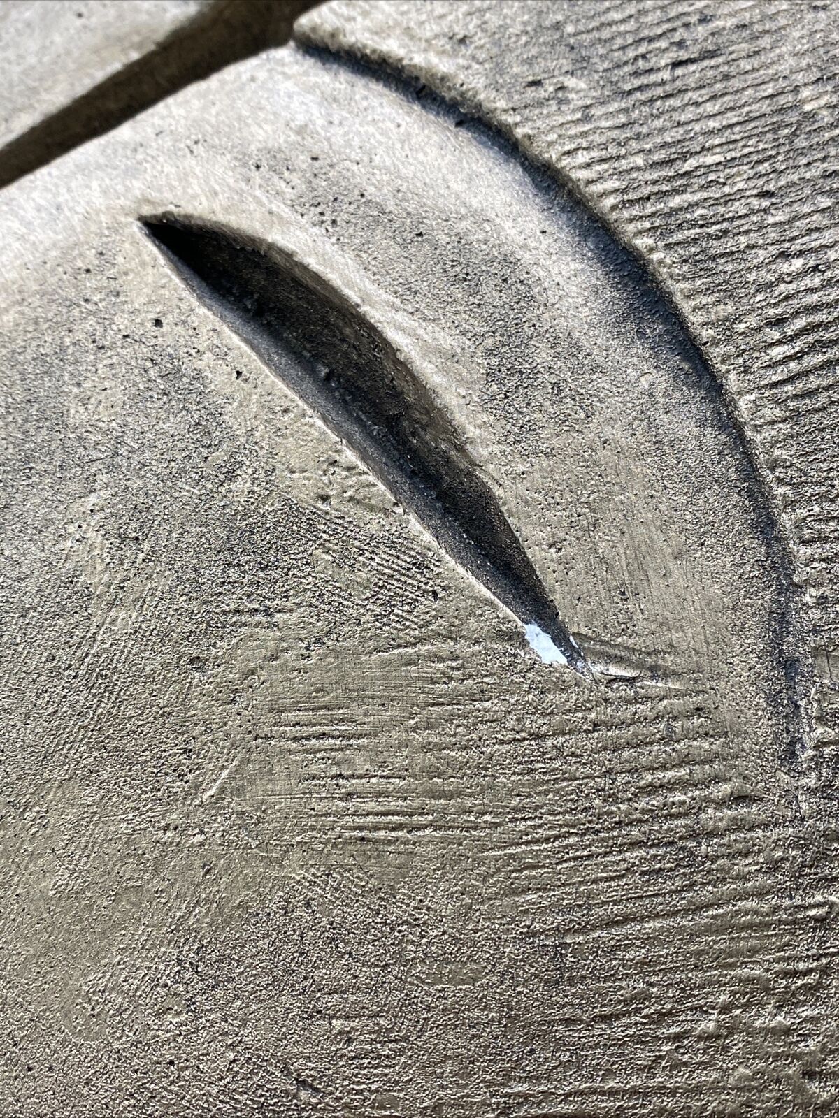 Picture 11 of 22