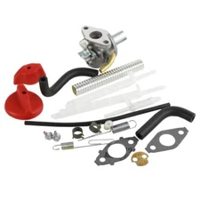 Genuine Briggs & Stratton 798917 Carburetor