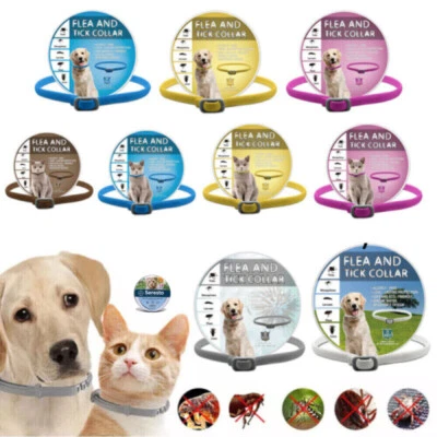 MARKENLOS Für Haustier Katzen Hund Anti-Insekten-Floh und Zeckenhalsband 8M Schutz DE DHL