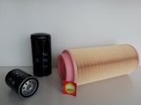 Filter Set (Klein) FüR Atlas Ab 1104 Mit Motor BF4M 1012E Ab Sn 301514