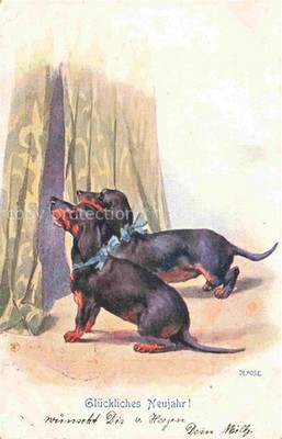 Dachshund Dachshund Teckel dogs dogs Chiens Cani Happy New Year B.K.W.I No. 