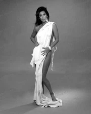 8x10 Print Cher "Cherilyn Sarkisian" Beautiful Fashion Portrait Los Angeles 1984