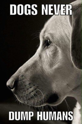Inspirational dog refrigerator magnet
