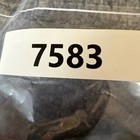 Foto 10 di 10