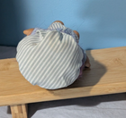 Bild 8 von 11