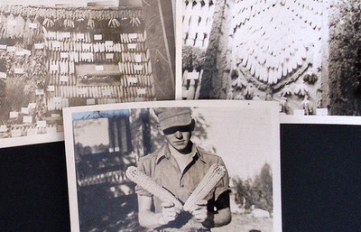 1940s Young Man Displays Corn Crop Snapshots Lot of 3  3.25x4.5''