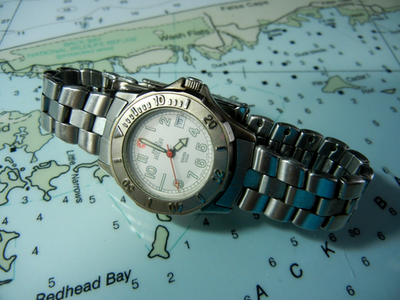 SWISS MILITARY 100 M Ladies Swiss Made Divers Watch  display picture 3