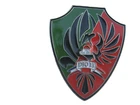 FOREIGN LEGION PARATROOPER 2ND REP D.I.O 13 OPEX IRAQ 1ST MANDATE (NUMBERED)