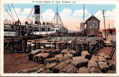 Early New Orleans Levee Scene Ship Cargo Dock Lousiana White Border Postcard 10L