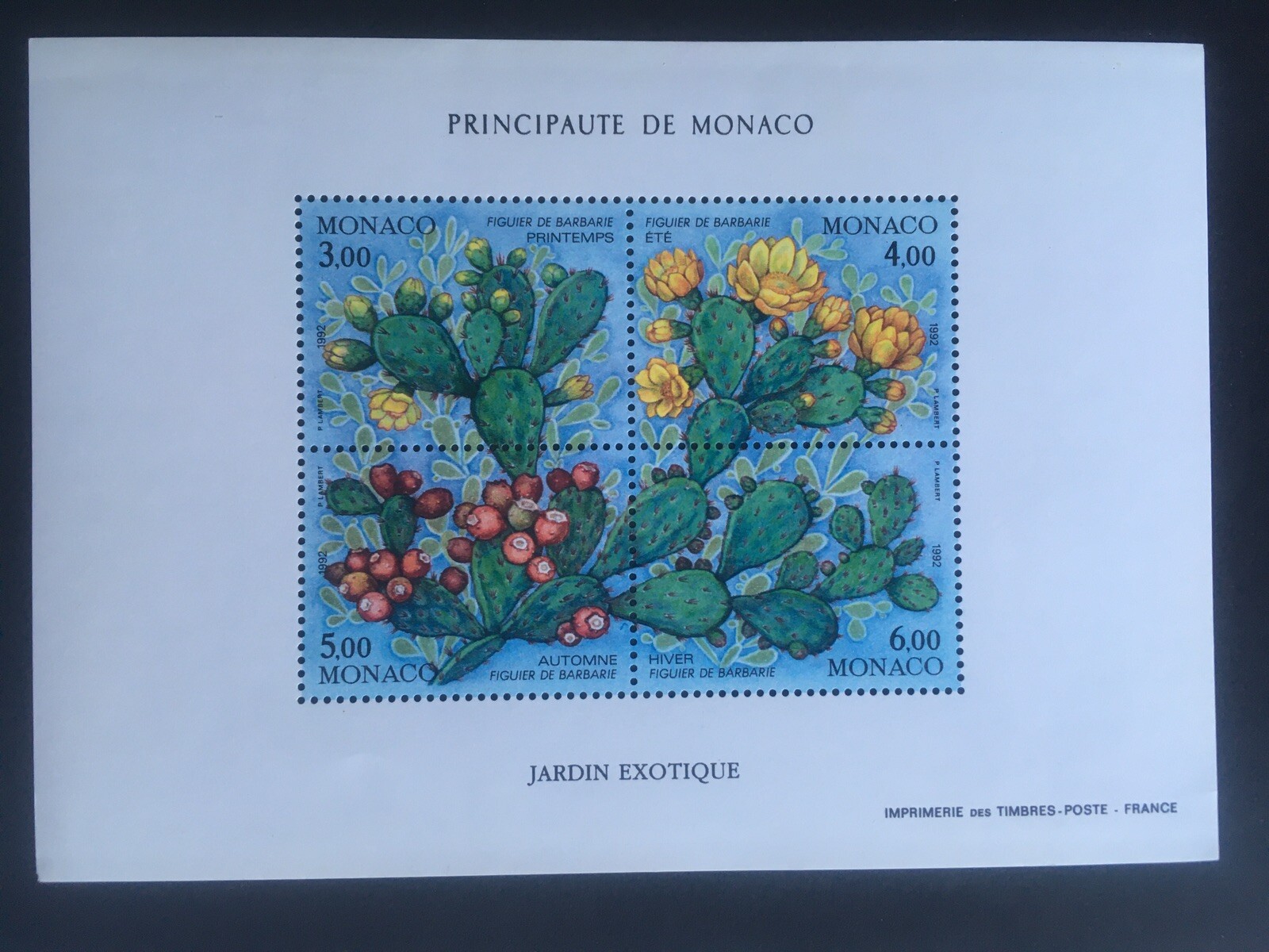 Foto 1 di 10