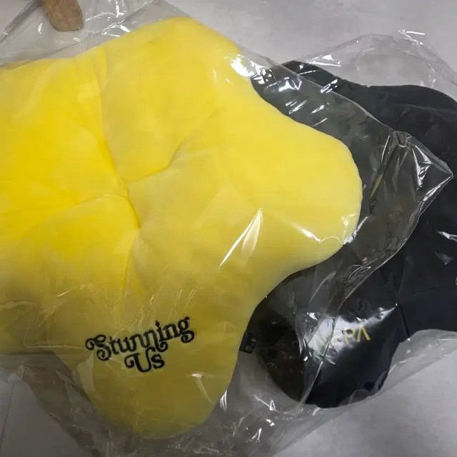 Joonho Lee Fan Meeting Cushion Set + Hand Warmer