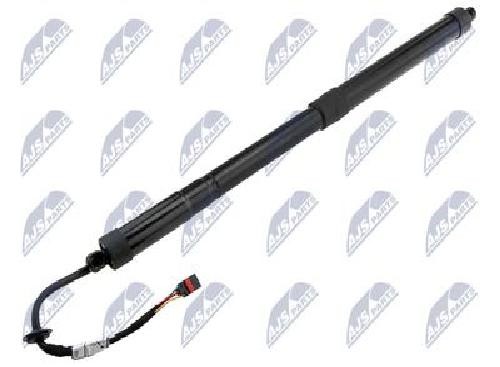 Original NTY Gasfeder Koffer-/Laderaum AE-HY-049 FüR Hyundai-image