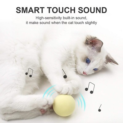 smart kitty toys
