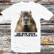 Idk How Much Longer I Can Slay Capybara Sarcastic Dank Meme T Shirt B798