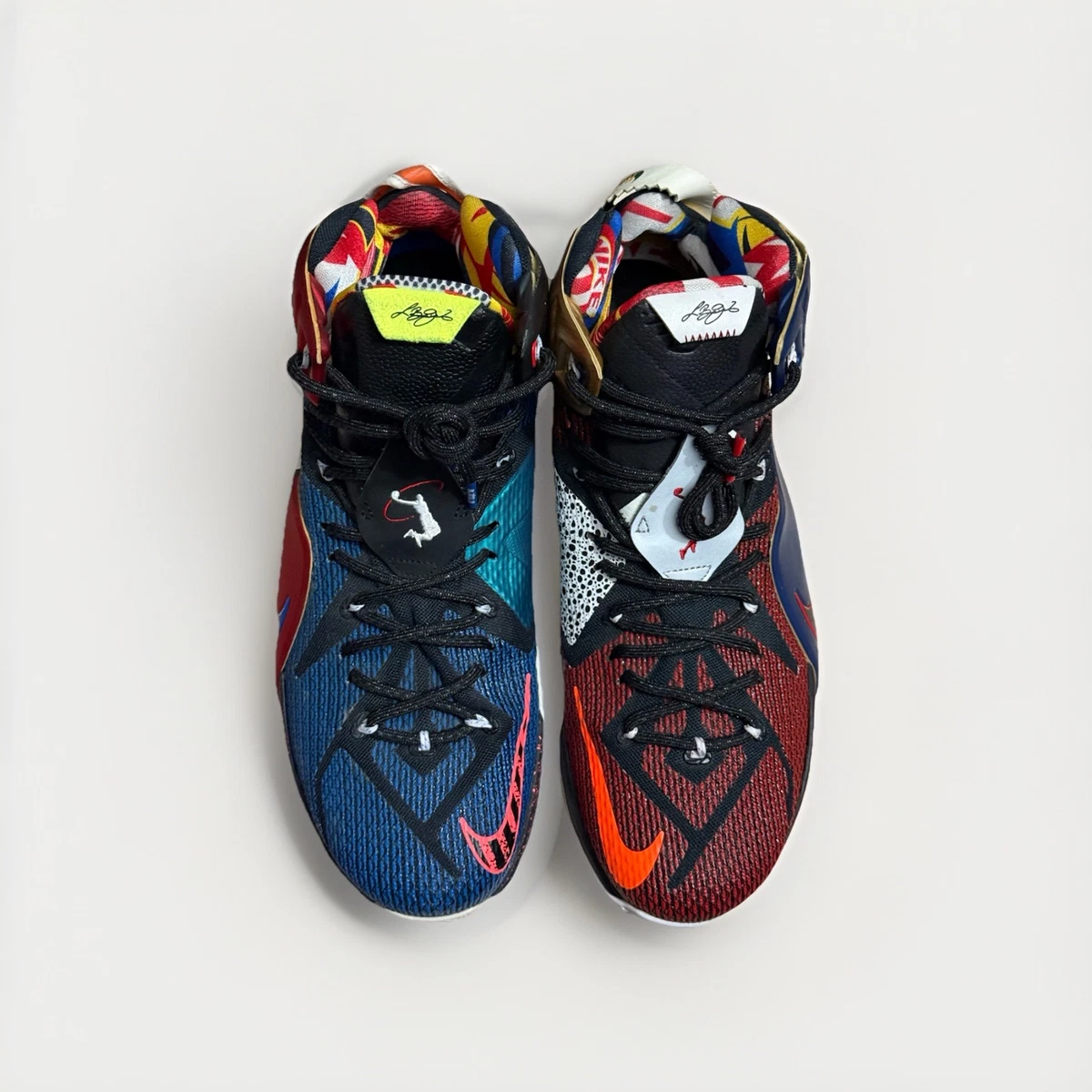 Nike LeBron 12 SE What The LeBron for Sale | Authenticity