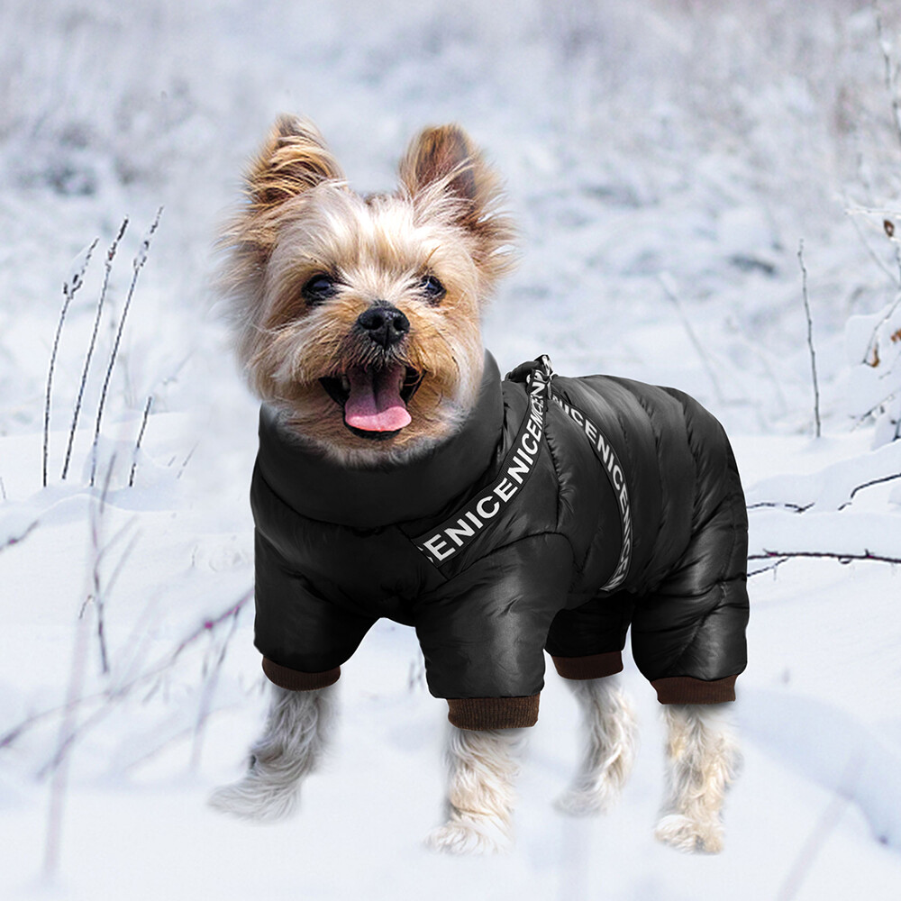 Dog Clothes And Tan Yorkie Puppy Coat Dog Winter Coat Legs