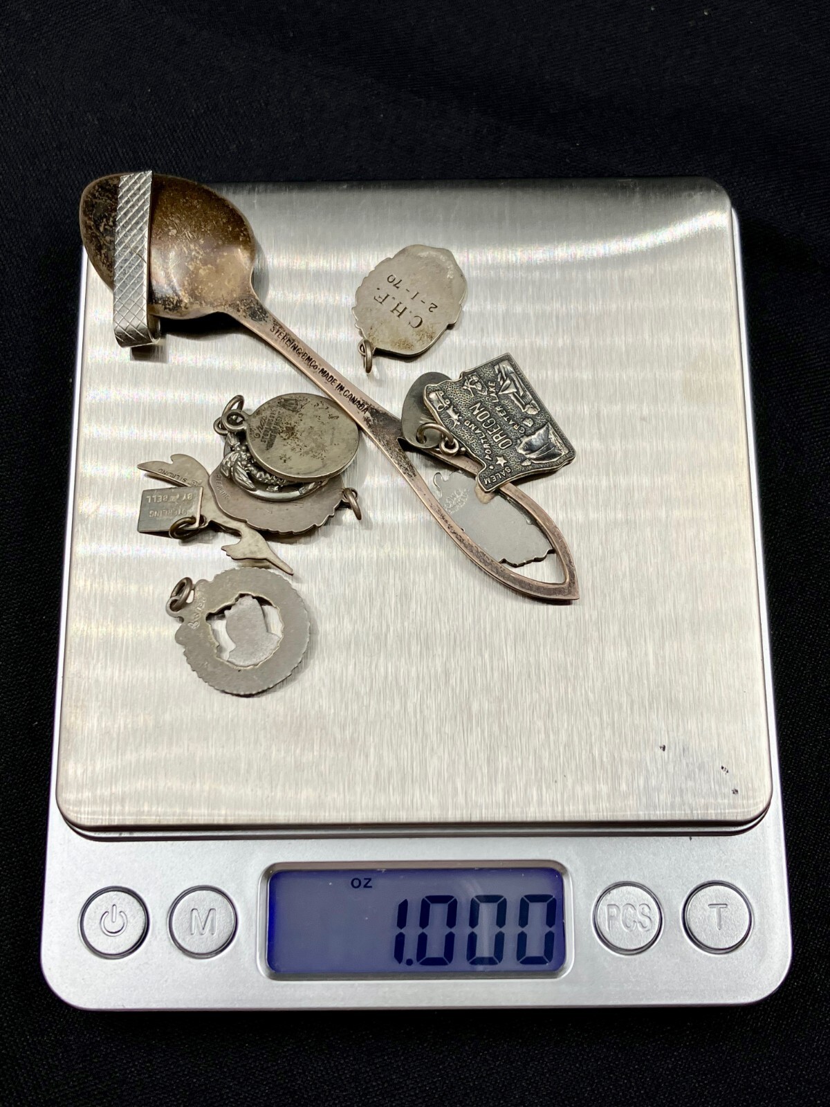 1 oz Silver Charms & Collector Spoon - For Melt or Bracelet | eBay