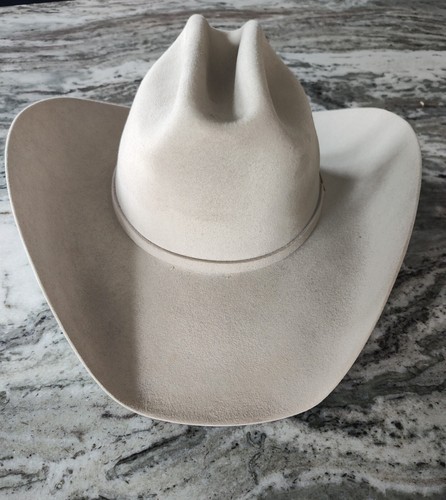 Stetson 6X Beaver Silverbelly Western 