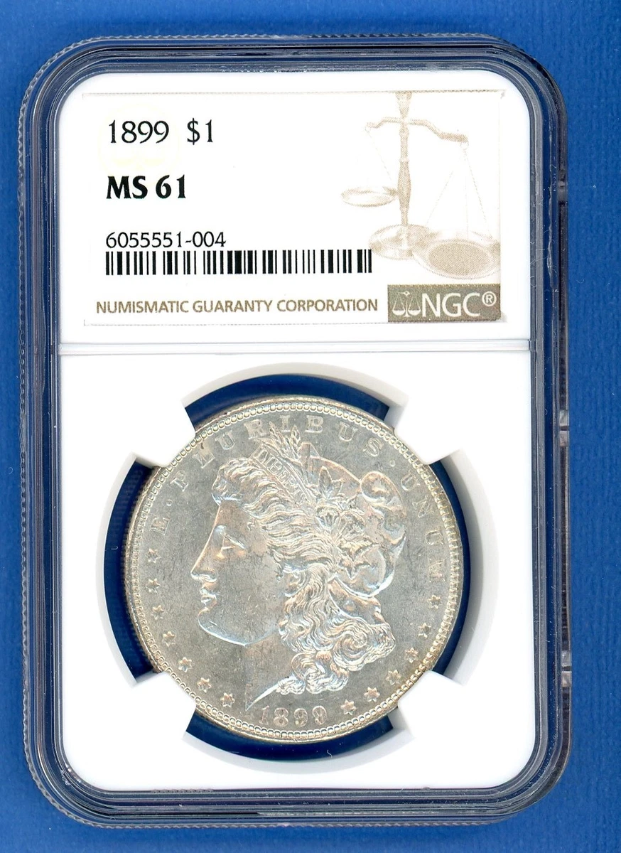 アメリカ 1899 年 $1 モルガン アメリカ モルガンダラー銀貨1899 MS61