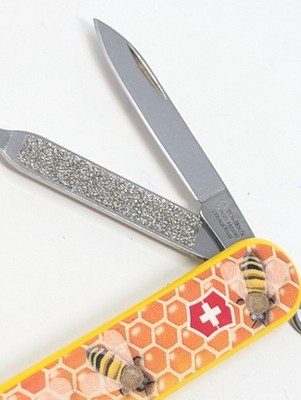 Victorinox Classic SD Honey Bee Limited Edition 2017 Swiss Army