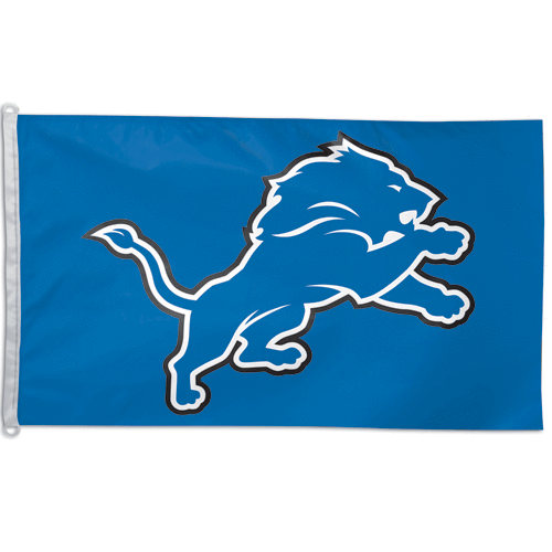 Detroit Lions Flagge 3 x 5 - Bild 1 von 1